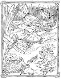 Biology coloring page to color, print or download. Biology Coloring Pages Coloring Home
