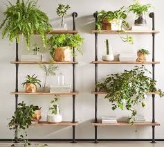 Pin By Abis Luz On Shop Ideas Plant Decor Plant Shelves Decor