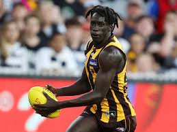 Hawthorn football club, melbourne, vic. Hawthorn Hawthorn Hawks Afl Team The Courier Mail