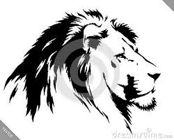 Black And White Lion Picture Black And White Linear Paint Draw Lion Vector Illustration Faro Dibujo