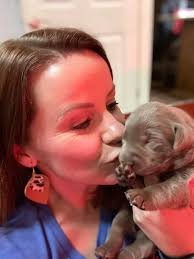 Sterling Shades Labradors of Arkansas