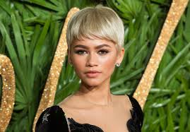 She began her career as a child model and backup dancer. 30 Of Zendaya S Most Amazing Hair Transformations