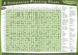 Permaculture A Companion Planting Chart And Some Natural