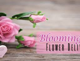 See more of the culver city flower shop on facebook. The 8 Best Options For Flower Delivery In Culver City 2021