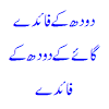.benefits milking camels oontni ke doodh ke fawaid/oontni ke doodh ke fayde/camel milk benefits in urduاونٹنی کے دودھ کےفائدے egg benefits और हो गया ये कमाल benefits of camel milk in diabetes रात को सोते वक़्त दूध पीने से शरीर में क्या होता है जानिए | benefits of milk in hindi height increase churan Https Encrypted Tbn0 Gstatic Com Images Q Tbn And9gcska1kyp3hp2ua4s Dwmuccq5 9qc6ehsnsm Ruu72uqko Heb Usqp Cau