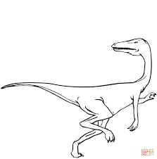 Select from 35970 printable crafts of cartoons, nature, animals, bible and many more. Dinosaur Coloring Pages Raptor Coloring And Drawing