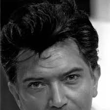 Martin Shaw as Ray Doyle in The Professionals 1978 Print. Art Prints,  Posters & Puzzles from Memory Lane