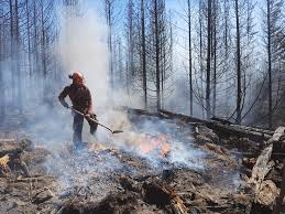 2 days ago · western wildfires spreading smoke as far as canada and new york. Pics Launches 1m Canada Us Project To Address Extreme Wildfires Wood Business