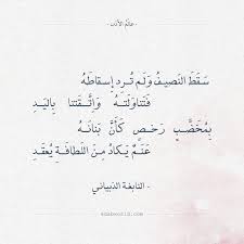 أبيات شعر غزل عالم الأدب اقتباسات من الشعر العربي والأدب العالمي Math Quotes Arabic Quotes