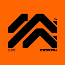 Morph Team Opens Recruitment For Pubg Mobile And Lol Wild Rift These Are The Conditions Game News