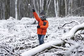 Een kleine boom onder sneeuw in april. Ogecmyd7hewcim