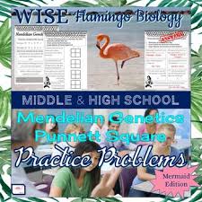 Wise Worksheets Mendelian Genetics Punnett Square Practice Mermaid Edition Vocabulary Practice Genetics Vocab