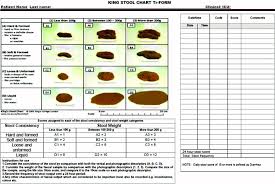 The Kings Stool Chart Tr Form Note That In The Figure The