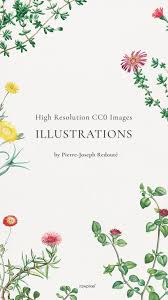 High Definition Vintage Public Domain Botanical Illustration Set In 2020 Cactus Paintings Succulents Illustration Plant Illustration