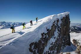 Сейчас я им в шаут напишу. Ifen Evoc Protective Sports Packs