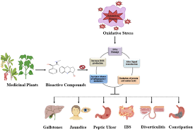 Image result for Phyllanthus mendoncae