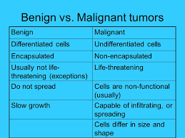 Neoplasms Chapter 5 Pathophysiology With Activity Times Ppt Download