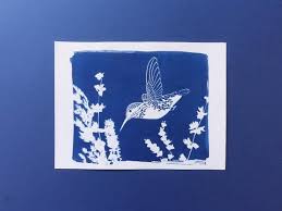 Cyanotype Colibri Butinant Des Fleurs Photographie Alternative A L Encre Bleue Impression Rayons Du Soleil Decoration Pour La Maison Impressionnisme Encre Teinte De Bleu
