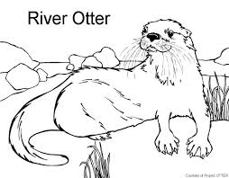Otter Coloring Pages Coloring Pages Little Cute Otter Smiles Stock Vector Art More And Davemelillo Com Coloring Pages Animal Coloring Pages Otters