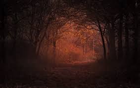 În 1968, un clujean a fotografiat în poiana rotundă un ozn, fotografiile fiind printre puținele de acest gen autentice, după. Povestea SinistrÄƒ A PÄƒdurii Hoia Baciu De Ce A Ajuns PÄƒdurea De LangÄƒ Cluj Napoca Printre Cele Mai InspÄƒimantÄƒtoare Locuri Din Lume Stiridinlume Ro