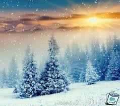 Täglich neue facebook bilderwitze auf debeste.de. Sonne Scheint In Schneefall