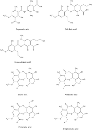Fc barcelona kit 2020 / fc barcelona home jersey 2. Usnea Sp Antimicrobial Potential Bioactive Compounds Ethnopharmacological Uses And Other Pharmacological Properties A Review Article Sciencedirect