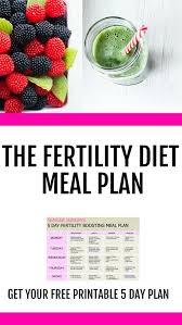 The Ultimate Fertility Smoothie For Men Women Fertility Diet Fertility Smoothie Fertility Foods