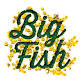 Big Fish Auditions — The Stage Oconee event image