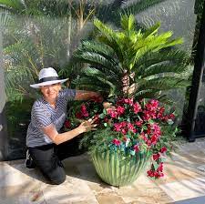 Well, the flaming sword plant doesn't necessarily have to be real to turn the heads; 82 Artificial Outdoor Flowers Plants Ideas Artificial Plants Outdoor Plants Outdoor Flowers