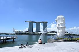 Singapore and hong kong have agreed to set up a travel bubble which enables people to travel between the two without needing to be quarantined. Singapore Hong Kong Travel Bubble Flights Will Carry On Despite Rise In Hong Kong S Coronavirus Cases Worldnewsera