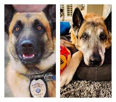 Ben Roethlisberger's Official Fan Site