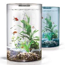 Width 85cm, length 155cm, height 52cm. Biube Pure Aquarium