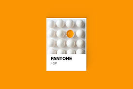 Pantone Color Cards Mockup Pantone Color Pantone Colour Palettes Pantone