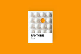 The colour shade cards with names are regularly purchased and used by designers & with pantone color shade cards and with the excellent collaboration, quick results are given. Pantone Color Cards Mockup Pantone Colour Palettes Pantone Color Pantone
