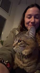 Lost cat in Verona, Wisconsin, found after two months