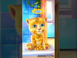 Bunlari Sakin Oynamayin Tom Un Ve Ginger In Gozunde Kamera Var Youtube