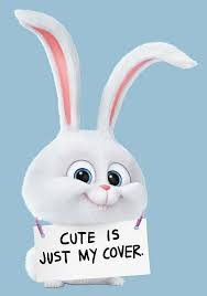 Check spelling or type a new query. 160 Arnab Ideas In 2021 Haiwan Peliharaan Lukisan Disney Haiwan Lucu