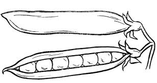 Free Peas Coloring Pages Printable Free Coloring Sheets Coloring Pages For Kids Coloring Pages Vegetable Coloring Pages