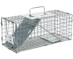 How To Set A Live Cage Trap Animal Traps Pet Cage Small Pets