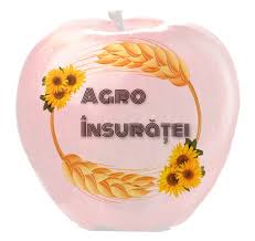 Logo Agro Însurăței