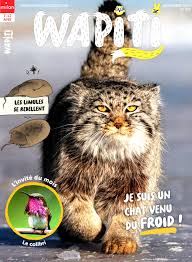 couverture de : Wapiti