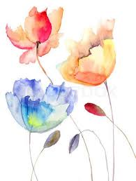 A vibrant and beautiful tulip watercolor painting by hailey e. Image Of Beautiful Summer Flowers Watercolor Illustration Lovers Art Watercolor Illustration Watercolor Flowers