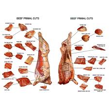 Camel milk is healthy as it contains less cholesterol and more beneficial minerals than ordinary cow's milk. Frozen Beef Carcass Frozen Beef Cuts Halal Frozen Cow Meat For Sale Buy Frozen Boneless Beef Meat For Sale Halal Camel Meat For Sale Halal Frozen Lamb Meat Product On Alibaba Com