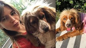 Marcela kloosterboer (born july 5, 1983 in vicente lópez, argentina) is an argentine actress and occasional singer and businesswoman. Conoces A Perri La Mascota A La Que Marcela Kloosterboer Le Salvo La Vida Entretenimientos Telefe Com