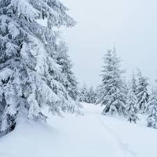 Our proprietary whitening system includes everything you need to get a whiter smile — faster. 12 Inches Of Spring Snow To Drop In Colorado Mountains Outthere Colorado