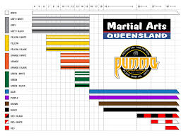 Brazilian Jiu Jitsu Bjj At Martial Arts Queensland