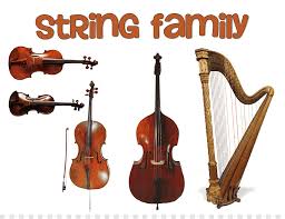 Double bass juga sering dikenal dengan contrabass atau bass, merupakan alat musik terbesar dari keluarga instrumen dawai gesek (strings). Family String Instruments Musical Instruments Orchestra Violin String Instruments S Double Bass String Instrument Png Pngegg