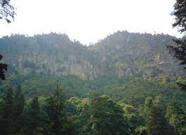 We did not find results for: Datei Dinamos 2009 Jpg Wikipedia