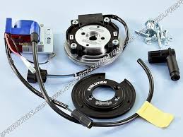 Pvl gold series domin8 (40 serving) svn price $39.99. Ignition Polini Pp18 By Pvl Internal Rotor Without Lighting Scooter Piaggio Gilera H2o Typhoon Nrg Www Rrd Preparation Com