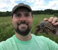 Reproductive Output of Ornate Box Turtles (Terrapene ornata) in Illinois,  USA